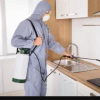 تضمین درسمپاشی منزل وحشرشناسی وطعمه، مارمولک