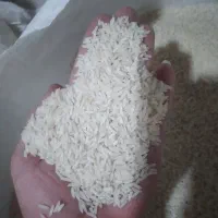 فروش برنج گیلان هاشمی فقط الک شده کارخونه والک شده|خوردنی و آشامیدنی|تهران, زرکش|دیوار