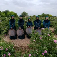 دف دف دف نواز|خدمات پذیرایی، مراسم|مشهد, حرم مطهر رضوی|دیوار
