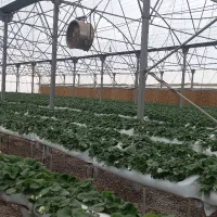 اجرای تاسیسات برقی|خدمات پیشه و مهارت|کرج, فاز ۲ مهرشهر|دیوار