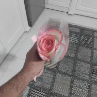 گل طبیعی