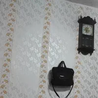 نقاش ساختمان طرح کاغذدیواری|خدمات پیشه و مهارت|ماکو, |دیوار