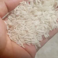 ۴۷۰ کیلوبرنج آنام سورتینگ شده|خوردنی و آشامیدنی|لاهیجان, خالو باغ|دیوار