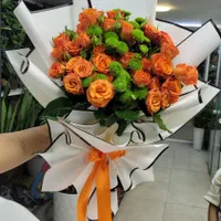 رز مینیاتوری بسته ای فقط ۴۵۰|گل و گیاه طبیعی|شیراز, خلدبرین|دیوار