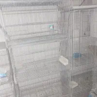 قفس غلامی جوجه پران