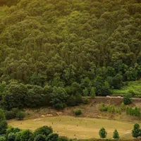 طبیعت گردی