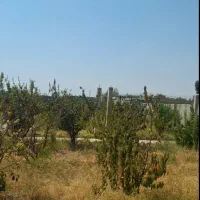 1300متر-باغچه-با-سند-تک-برگی-مناسب-سرمایه-گذاری