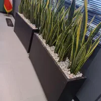 خدمات باغبانی سیار  سرویس درتمام نقاط تهران|خدمات باغبانی و درختکاری|تهران, فاطمی|دیوار