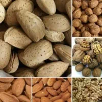 گردو و بادام