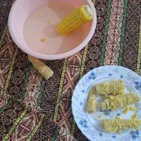 بی چاره هیچ نداره م