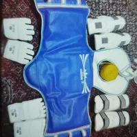 لباس تکواندو ، هوگو
