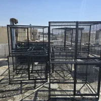 قفس پانسیونی سگ و گربه|لوازم جانبی حیوانات|شیراز, شهرک گلستان|دیوار