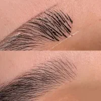 مدل برای اجرای میکروبلیدینگ به سبک فیبروز|خدمات آرایشگری و زیبایی|تهران, فردوس|دیوار