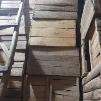 تعداد هزار جعبه چوبی بفروش میرسد