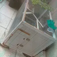 قفس سفارشی