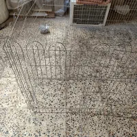 قفس