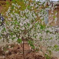 زمین شهرک اداره اب