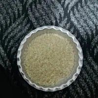 برنج کامفیروزی به شرط پخت