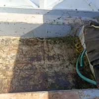 زامیاد پادرال|خودرو سواری و وانت|فردوس (خراسان), |دیوار