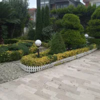 باغبانی و نگهداری فضای سبز|خدمات باغبانی و درختکاری|عباسآباد, |دیوار