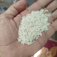 برنج هاشمی اصل درجه یک|خوردنی و آشامیدنی|میاندوآب, |دیوار