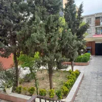 ۷۰ متر /اشرفی اصفهانی /پیامبر شرقی /اسکندر زاده