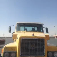 اسقاط کشنده