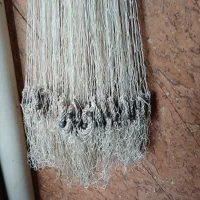 ماشک یا سالی