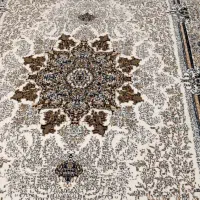 دو عدد فرش ۶ متری نو|فرش|مشهد, طبرسی شمالی|دیوار