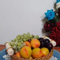 سبدهای دست بافت پلاستیکی|صنایع دستی و سایر لوازم تزئینی|تهران, جوانمرد قصاب|دیوار