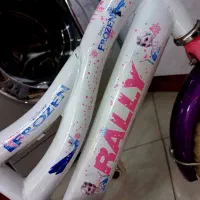 دوعدد دوچرخه دخترانه نونونو|دوچرخه، اسکیت، اسکوتر|مشهد, طبرسی شمالی|دیوار