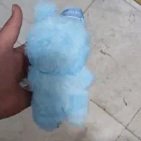 لبوبو|اسباب‌‌بازی|مشهد, طبرسی شمالی|دیوار