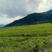 ویلادردل طبیعت ماسال جاده ماسال دربهشت