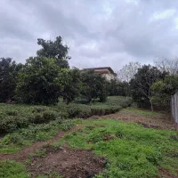 فروش فوری زمین باغی ویلایی