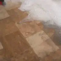 نظافت منزل وشستشوی راه پله وپارکینگ|خدمات نظافت|آمل, |دیوار