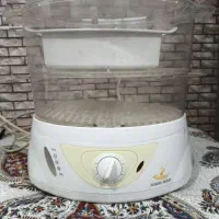 بخار پز