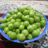 گوجه سبز