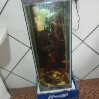 فروش آکواریوم