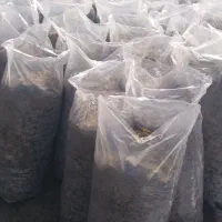 ذرت بسته بندی|لوازم جانبی حیوانات|قوچان, |دیوار