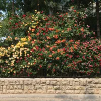 پیشنهاد یا راهنمایی در مورد کار