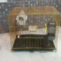 قفس|لوازم جانبی حیوانات|هشتگرد, شهرک صنعتی هشتگرد|دیوار