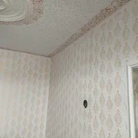 نقاشی منازل و ساختمان ال|خدمات پیشه و مهارت|آستارا, |دیوار