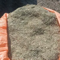 خارشتر سبز دانه دار خالص