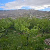 606 متر زمین ویلای دشت اول گرمابسرد دماوند|فروش زمین و ملک کلنگی|دماوند, دماوند|دیوار