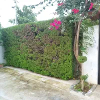 هرس سمپاشی گلکاری علف تراشی چمن کاری کوددهی