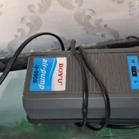 اکواریوم|ماهی|الوند, |دیوار