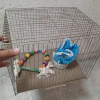 قفس