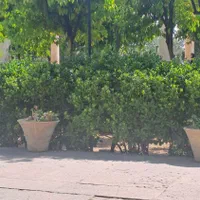 اجاره روزانه منزل مبله