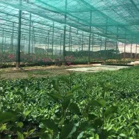 شید گلخانه توری سایبان تراکم ۸۰ واقعی ازکارخونه|عمده‌فروشی|آبادان, |دیوار