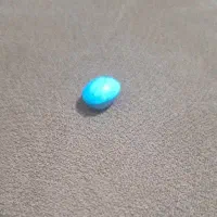نخود